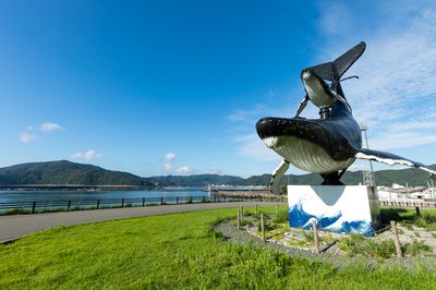 🏞️ 우사 바닷바람 공원(우사 시오카제 코엔) 이미지 2